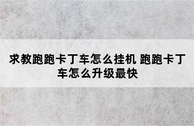 求教跑跑卡丁车怎么挂机 跑跑卡丁车怎么升级最快